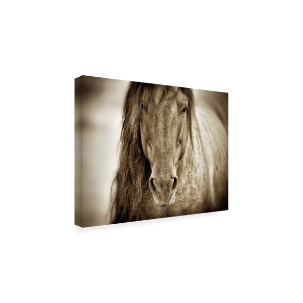 Lisa Dearing 'Mustang Sally Horse' Canvas Art,14x19